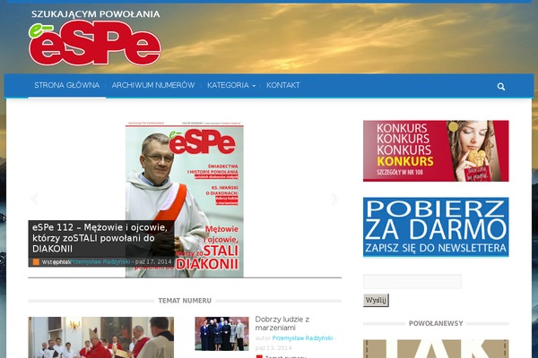 Magazin theme site design template sample
