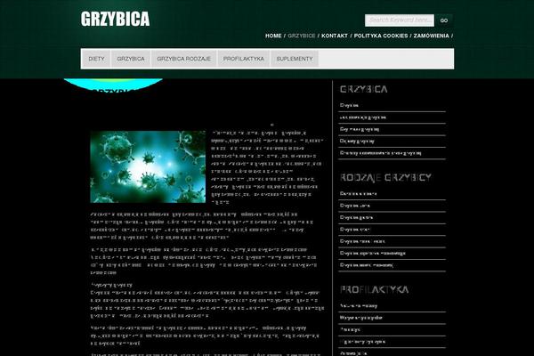 Site using Pronamic Cookies plugin