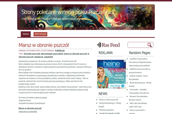 WhitePlus theme site design template sample