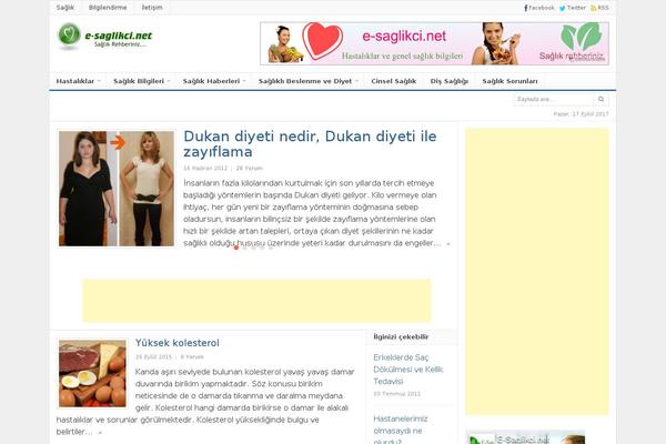 Daily theme site design template sample