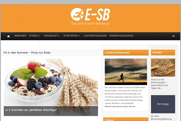Theme Rush theme site design template sample