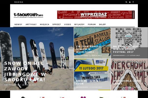 15Zine theme site design template sample