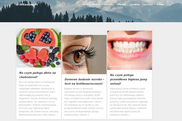 Max Mag theme site design template sample