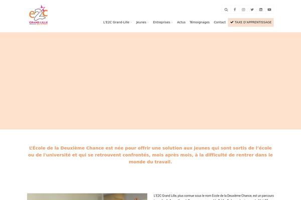 Site using Webtoffee-gdpr-cookie-consent plugin