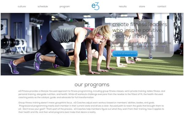 E3 theme site design template sample