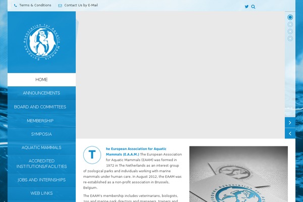 Vertikal theme site design template sample