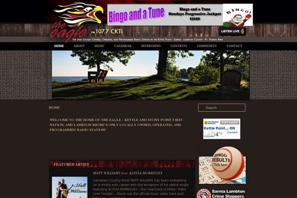 Eagle theme site design template sample