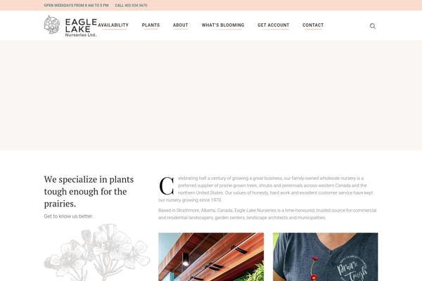Site using Instagram Feed plugin