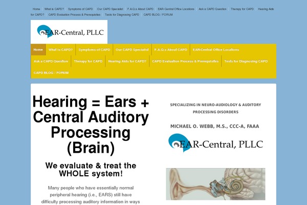 ResponsivePro theme site design template sample