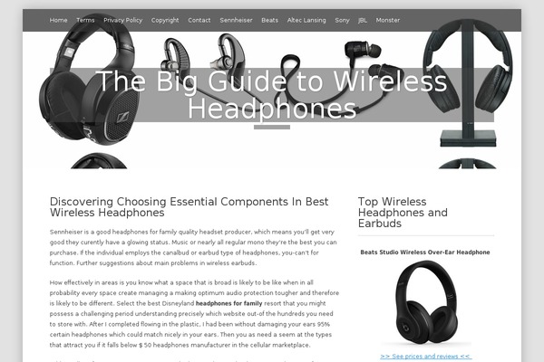 deLighted theme site design template sample