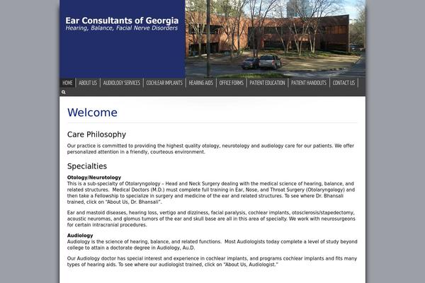 Master theme site design template sample