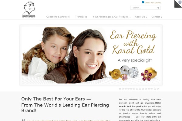 Ave theme site design template sample