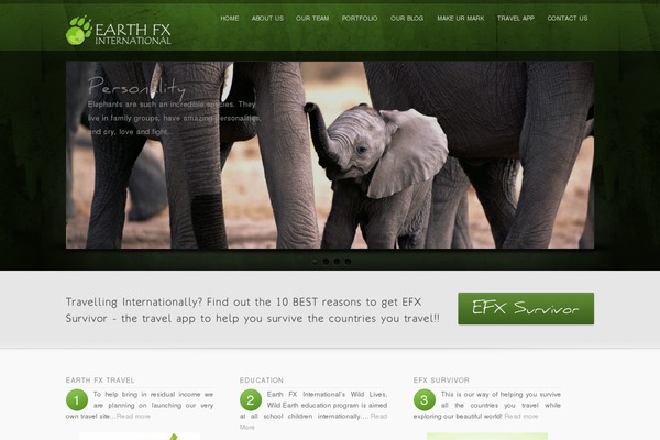 inFocus theme site design template sample