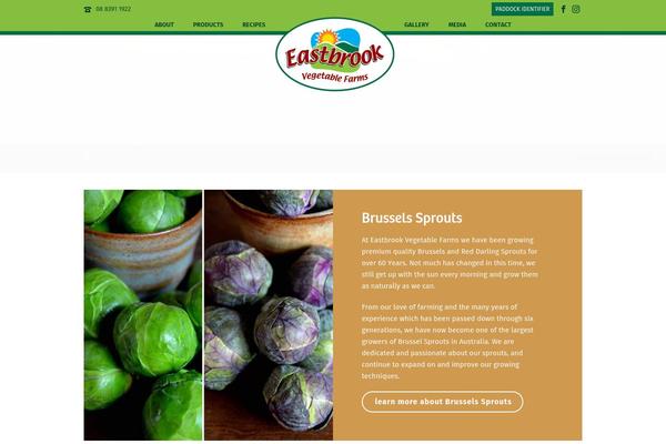 Site using Wordpress-social-stream plugin