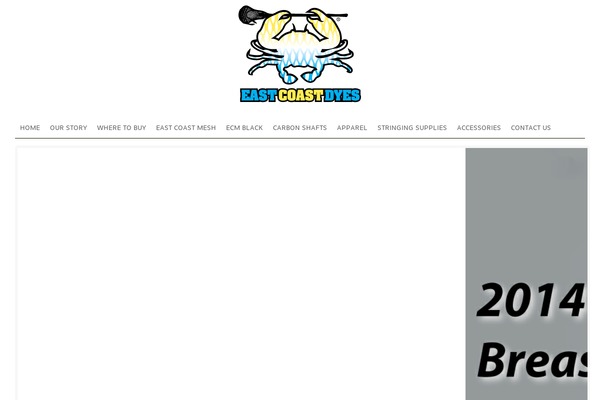 ecd theme websites examples