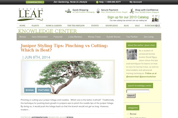 Puretype theme site design template sample