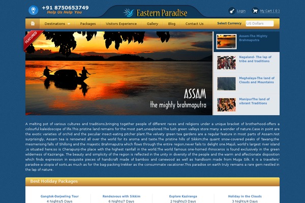 Bellissima theme site design template sample