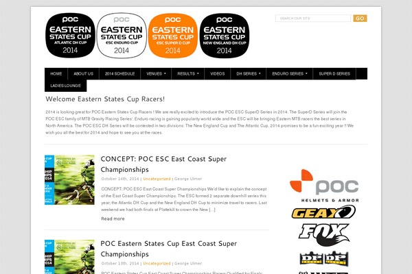 Elegant theme site design template sample