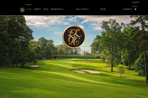 Site using WP SVG Icons plugin