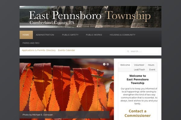 Avenue theme site design template sample