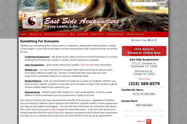 Site using Apw-mobile-theme plugin