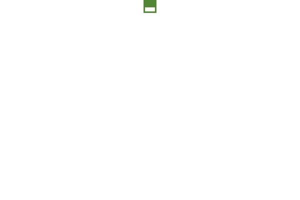 Site using Meta-slider-and-carousel-with-lightbox plugin