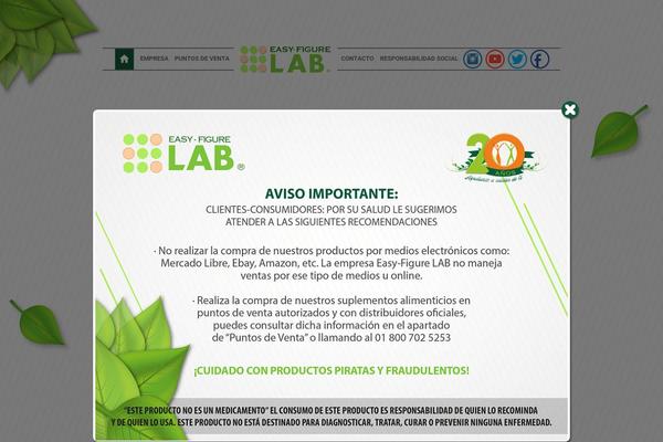 HTML5 Blank theme site design template sample