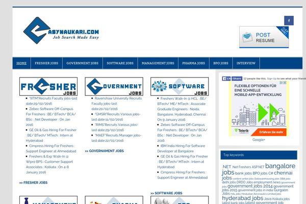 Site using Accordion-Wp plugin