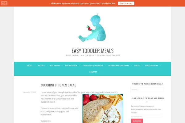 Sela theme site design template sample