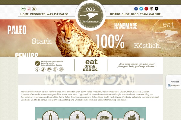 Site using Pinterest Image Pinner From Collective Bias plugin