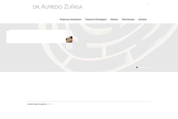 Duotive 5ive theme site design template sample