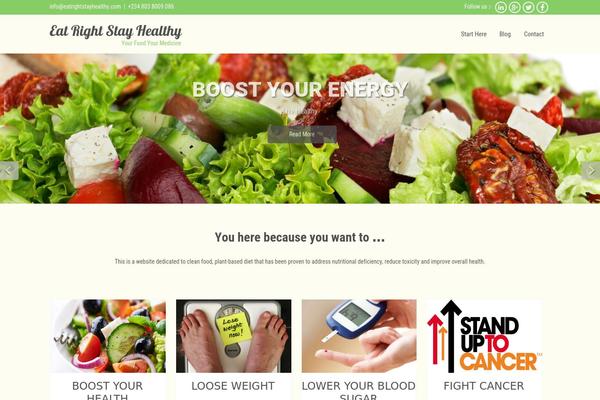 Akita theme site design template sample