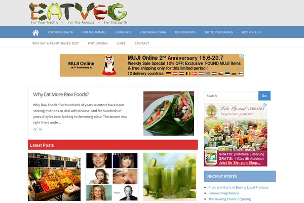 ProMax theme site design template sample