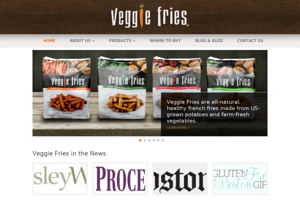 Modernize v3 theme site design template sample