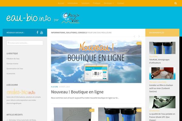 Hueman theme site design template sample