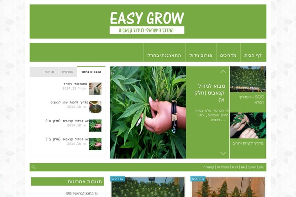FlyingNews theme site design template sample