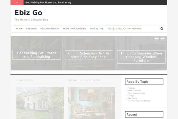 FlyMag theme site design template sample