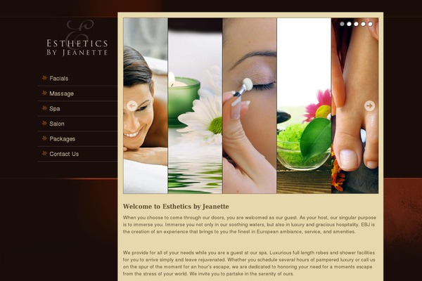 Spasalon theme site design template sample