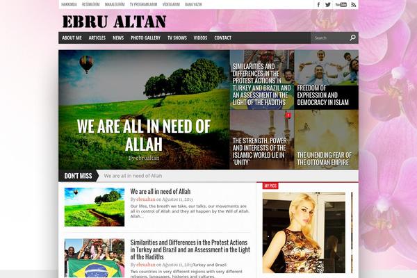 Hot Topix theme site design template sample