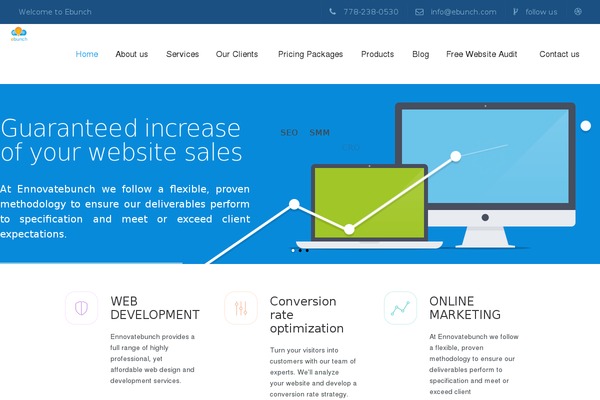 Synergia theme site design template sample