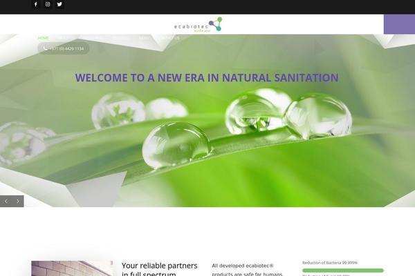 Kallyas theme site design template sample