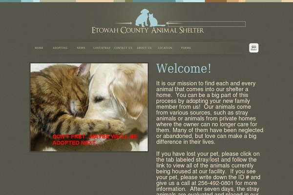 Latest theme site design template sample