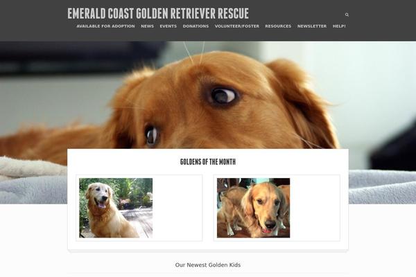 Pet-rescue theme site design template sample