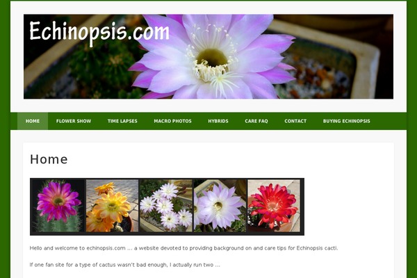 Site using NextGEN-Galleryview plugin