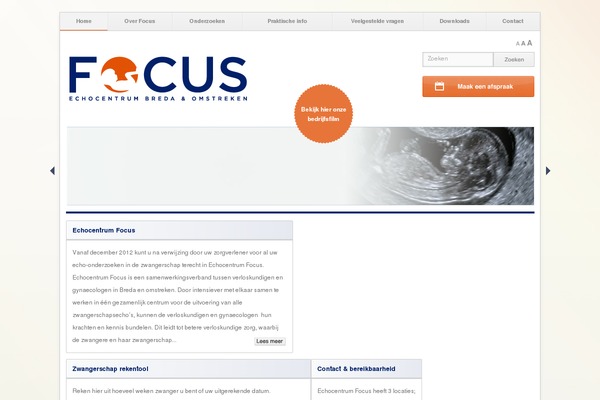 Focus theme site design template sample