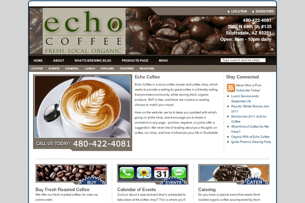 Echo theme site design template sample