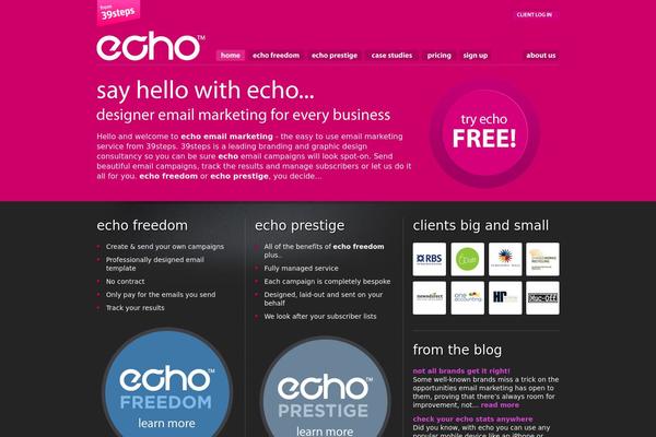 Echo theme site design template sample