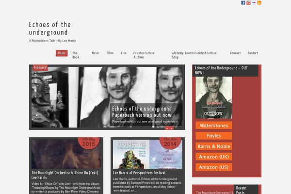 Scylla lite theme site design template sample