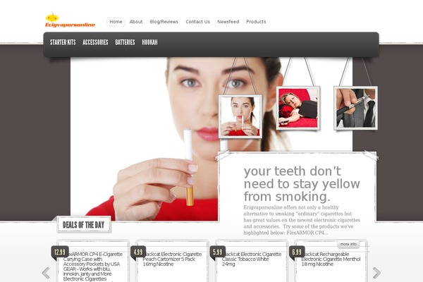 eStore theme site design template sample