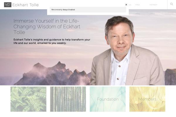 Site using Easy Social Icons plugin